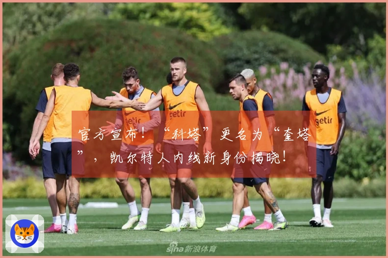 官方宣布！“科塔”更名为“奎塔”，凯尔特人内线新身份揭晓！
